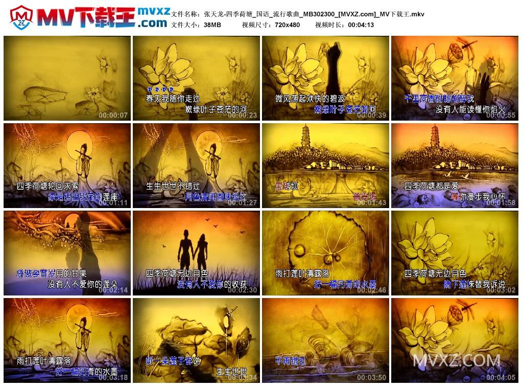 张天龙-四季荷塘_国语_流行歌曲_MB302300